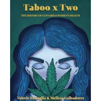 TabooxTwo logo - Similar company to Icre8Solutions