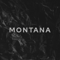 Montana logo - Similar company to Cross Border Coverage