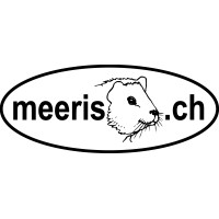 meeris.ch logo - Similar company to Moduldrei