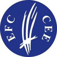 European Fencing Confederation logo - Similar company to Association Entre Les Lignes