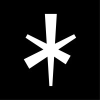 Domslim logo - Similar company to Baars Nieuwland