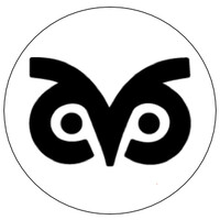 Globaudit Business Service LLC logo - Similar company to Morphy Vision