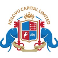 NDLOVU CAPITAL LIMITED logo - Similar company to Getaccess