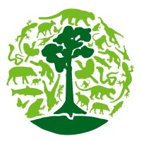Borneo Nature Foundation International logo - Similar company to Hacking Ecology
