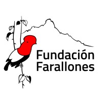 Fundación Farallones logo - Similar company to Calima Workforce Solutions Pty Ltd