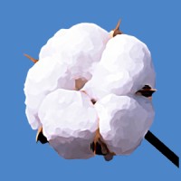 Merry logo - Similar company to Niuton Ai
