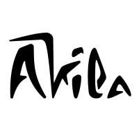Akila logo - Similar company to Jf Meheust E.C