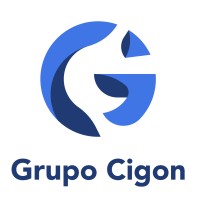 Grupo Cigon logo - Similar company to Crowdfactory