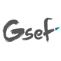 GSEF (Global Forum for Social and Solidarity Economy) logo - Similar company to Cedag Foundation