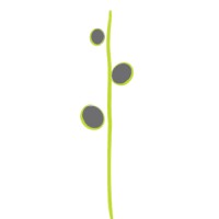peakit logo - Similar company to Hopstep