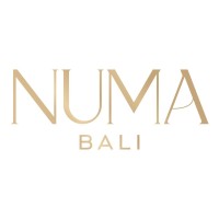 NUMA Bali logo - Similar company to Taxpilot