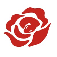 Wicked Rose logo - Similar company to Bak'D