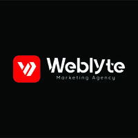Weblyte logo - Similar company to Fly Fox Group