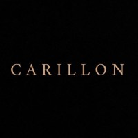 Carillon Jewelry logo - Similar company to Digifier Web Technologies Llp
