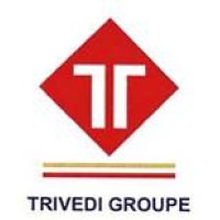 Technithon International Pte Ltd logo - Similar company to Technithon Technologies Private Limited