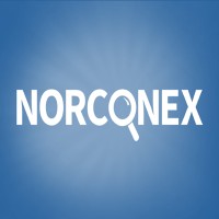 Norconex logo - Similar company to Weblight