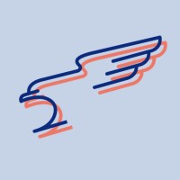 ELISA Junior Consulting logo - Similar company to Vibes - Visionary Ingenuity Boosting European Spacecraft