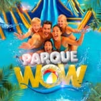 Grupo WOW logo - Similar company to Circowow