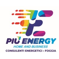 Più Energy s.r.l. logo - Similar company to Sinapsi Srls