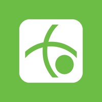 Reflections Info Systems logo - Similar company to Tigrid Technologies