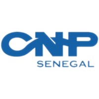 CONSEIL NATIONAL DU PATRONAT SENEGAL logo - Similar company to Tech@Work