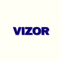 Vizor logo - Similar company to Satya Foundation