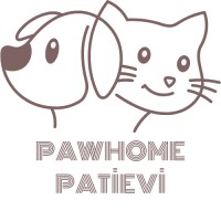 Pawhome Patievi logo - Similar company to Elcom