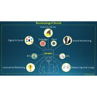 Peak Performance Strategies logo - Similar company to Data Bloom