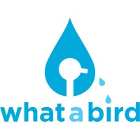 what-a-bird logo - Similar company to Aiōn