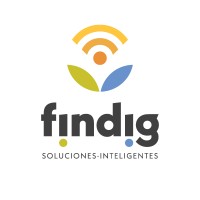 Findig Soluciones Inteligentes S. A. S.