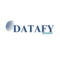 Datafy Research logo - Similar company to Mindsforest