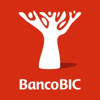 Banco BIC Angola logo - Similar company to Bank Bic Namibia