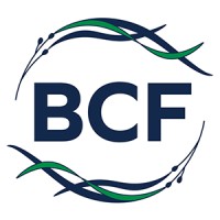 Blue Convergence Fund logo - Similar company to Creative Stone Artistry Inc.