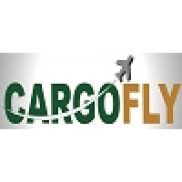 Cargo Fly Transportes Multimodais e Logística logo - Similar company to Cargofly Gsa
