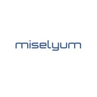 Miselyum logo - Similar company to Mobitive