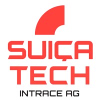 Intrace Brasil peças automobilísticas LTDA logo - Similar company to Dalcar Veículos