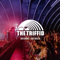 The Triffid logo - Similar company to Aimless Play