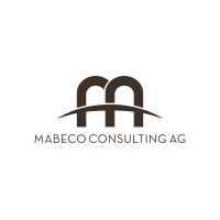 Mabeco Consulting AG logo - Similar company to Kiritrees