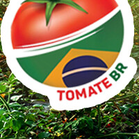 Tomate BR logo - Similar company to Consejo Estatal De Citricultura De Oaxaca, A. C.