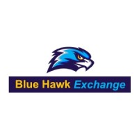 Blue Hawk Florida logo - Similar company to The Ring Workspaces
