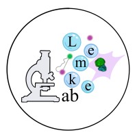 Lemke Lab logo - Similar company to Jgum Management & Digitale Transformation
