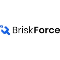 BriskForce, Inc logo - Similar company to Thinkage Ltd.