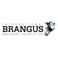International Brangus Breeders Association logo - Similar company to Beefmaster Breeders United