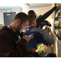 full-speed grow online store logo - Similar company to Online Shopping Store 2Tx1