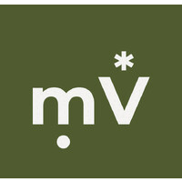 mV* logo - Similar company to Mapa Hr  Services