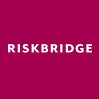 Riskbridge Associates Ltd logo - Similar company to Pepper Financial Services Group