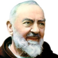 Padre Pio Srl logo - Similar company to Fondazione Voce Di Padre Pio