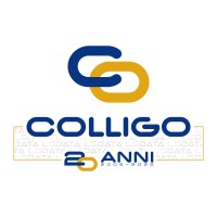 COLLIGO S.p.A. logo - Similar company to Micro Tel