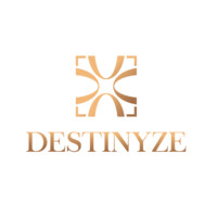 Destinyze logo - Similar company to Mostash.Com