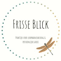 Frisse Blick Coaching logo - Similar company to Van Den Heuvel Recruitment